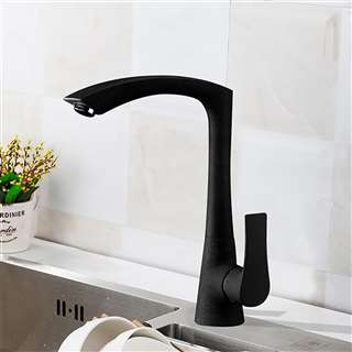 Huesca Hospitality Single Handle Kitchen Sink Faucet