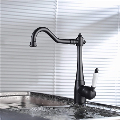 Biscay Kitchen Sink Faucet