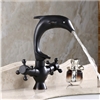 Perpignan Dolphin Shaped Bathroom Sink Faucet