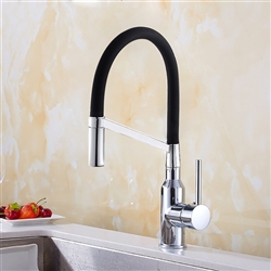 Alalia Single  Kitchen Faucet with Pullout Spout