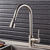 Luna Goose Neck Kitchen Sink Faucet With Pull Out Sprayer In Brushed Nickel Finish