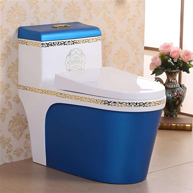 Vermont European Style Floor Mounted Lavatory in Ceramic White and Blue Finish with Gold Lining Design