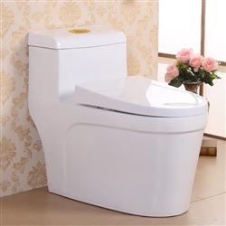 Vermont European Style Dual Flush Elongated Floor Mounted Lavatory in Ceramic White Finish