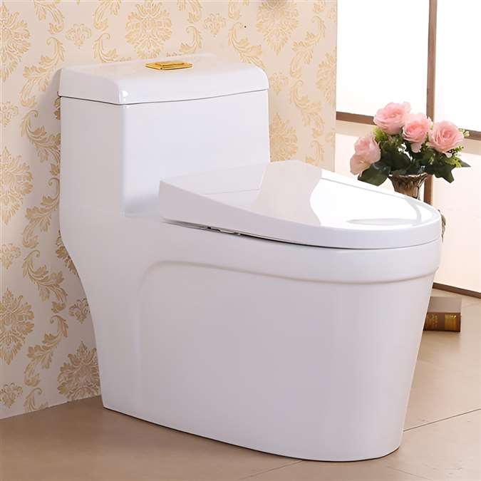 Vermont European Style Dual Flush Elongated Floor Mounted Lavatory in Ceramic White Finish