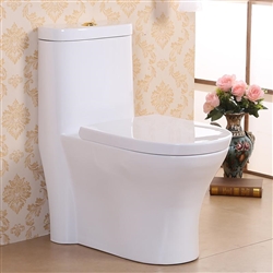 Vermont Contemporary European Style Floor Mounted Lavatory in Ceramic White Finish