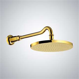 shower head Gold tone finish