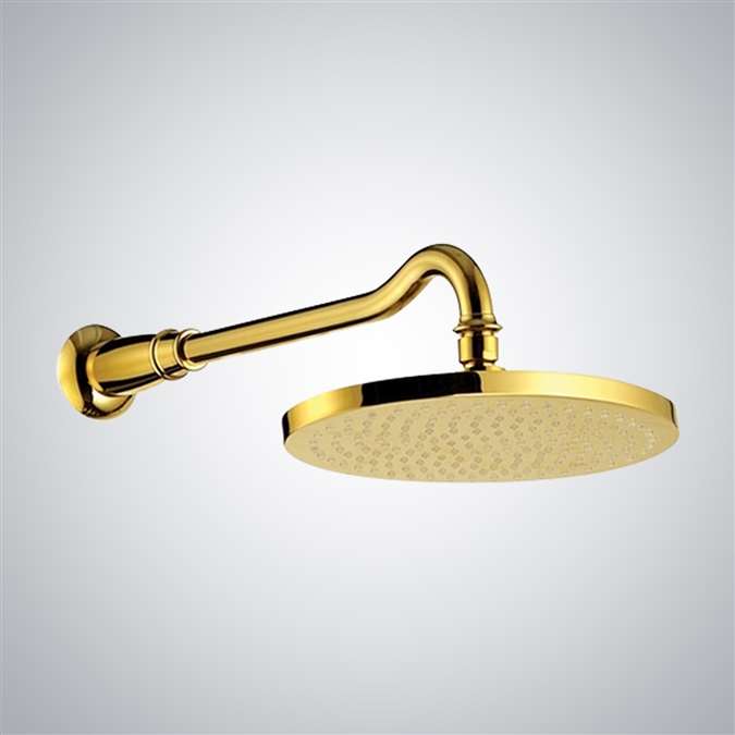 shower head Gold tone finish