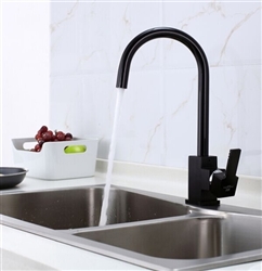 Black Kitchen Faucet