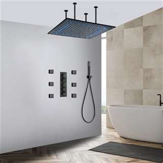 Royal Oil Rubbed Bronze shower head