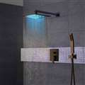 designer massage shower system