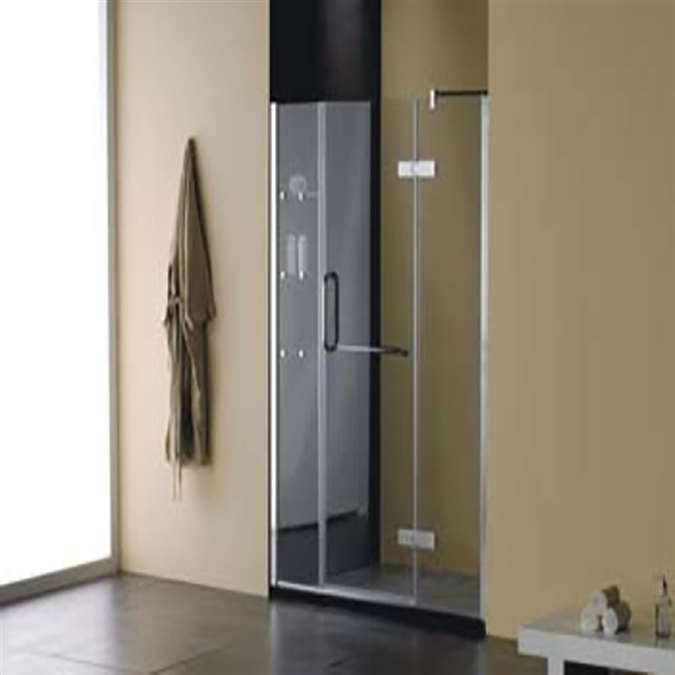 Bathroom shower Door